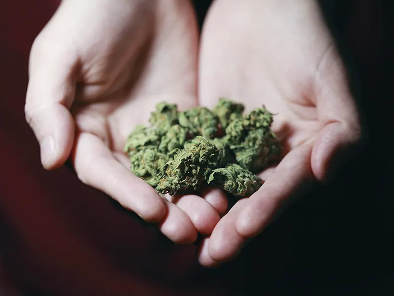 Addicció al cannabis teràpia psicològica a Esplugues de Llobregat